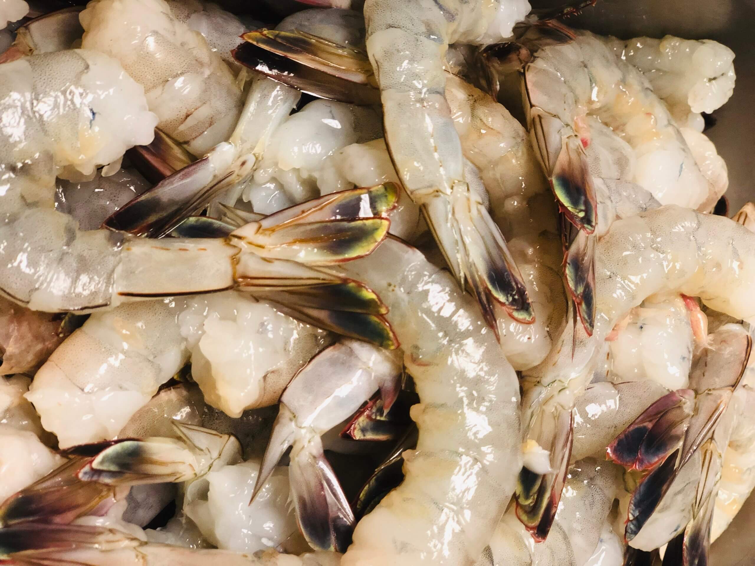 Taste of The Lowcountry
