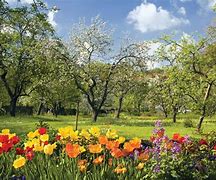 Spring Awakening 