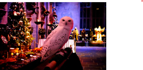 A Holiday Feast at Hogwarts