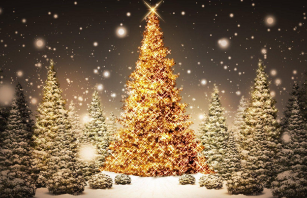 Happy Holidays!