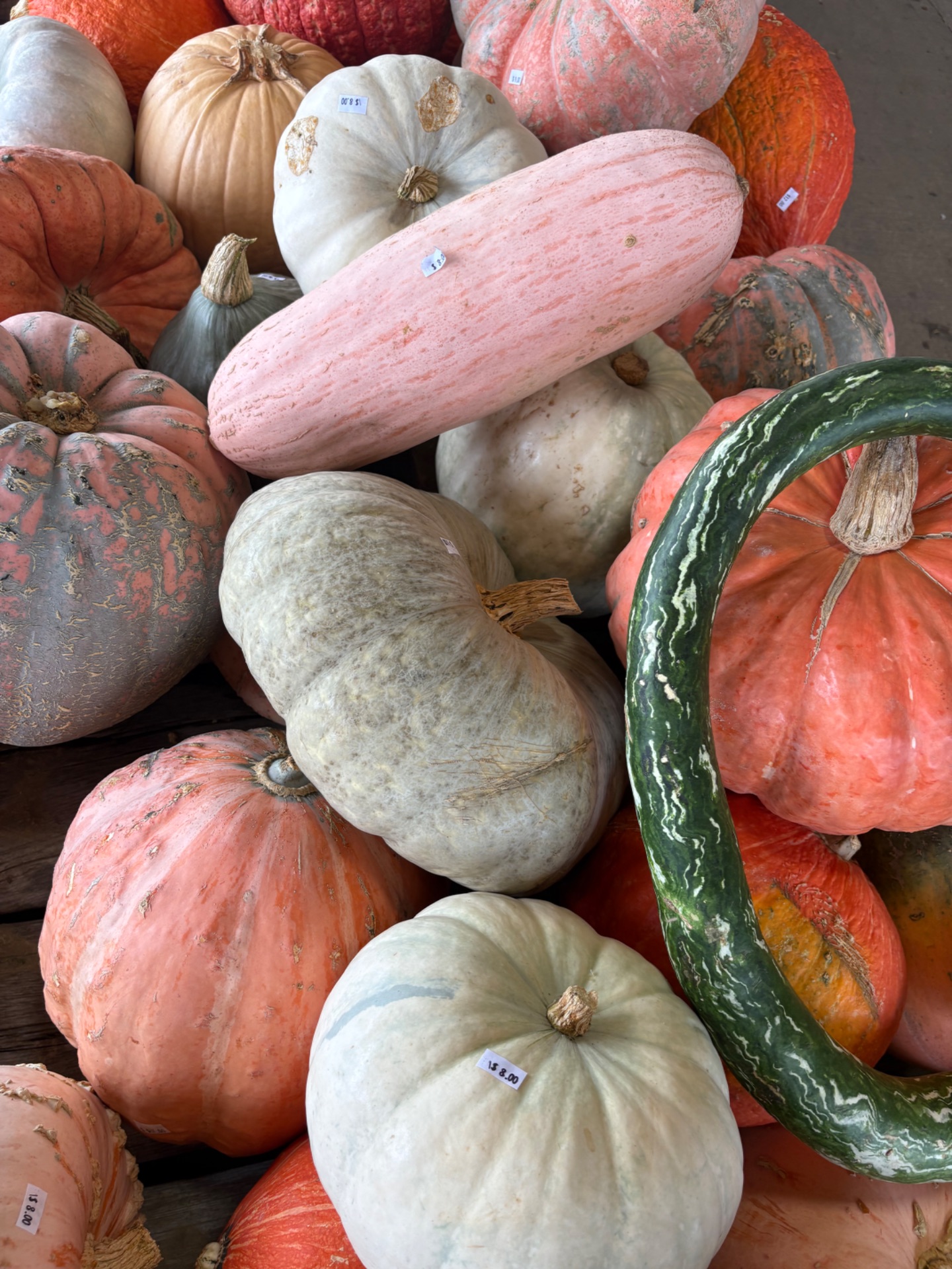 Autumn Harvest